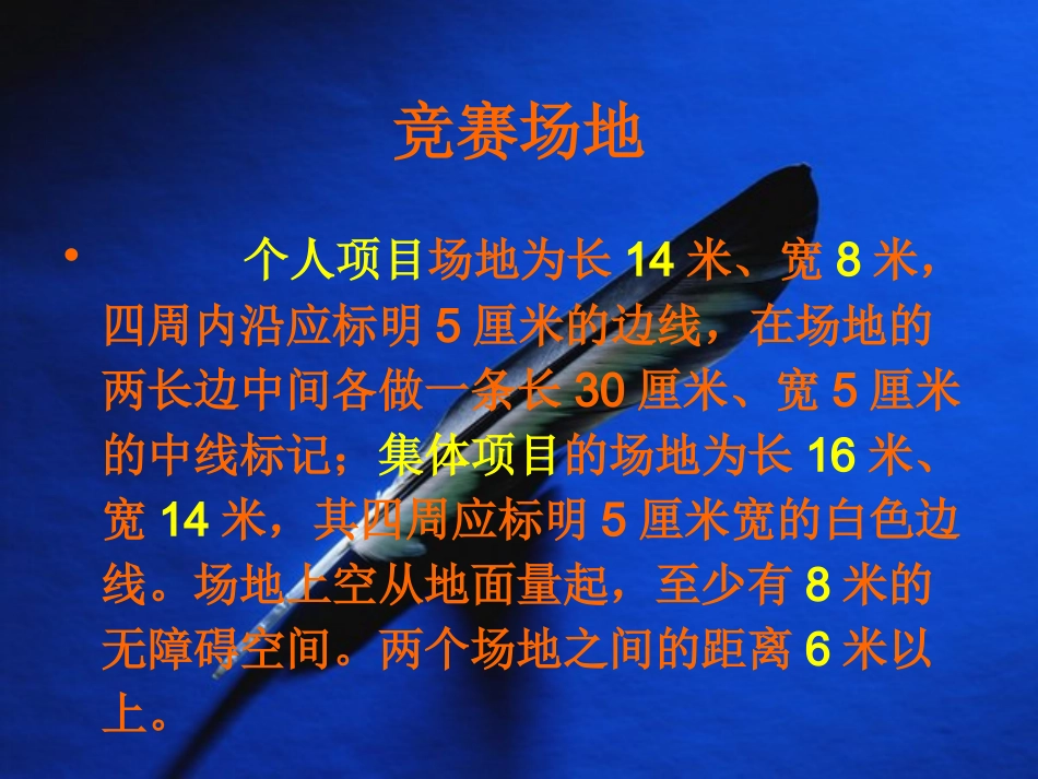 武术竞赛规则_第3页