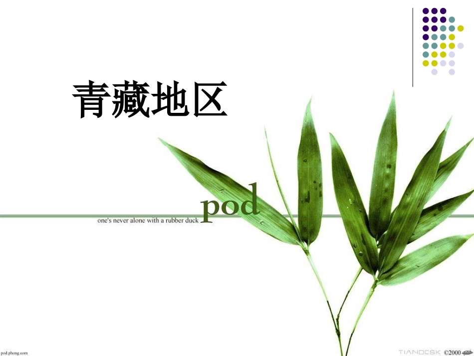 青藏地区和谐互助_第3页