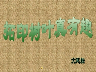 拓印树叶真有趣PPT