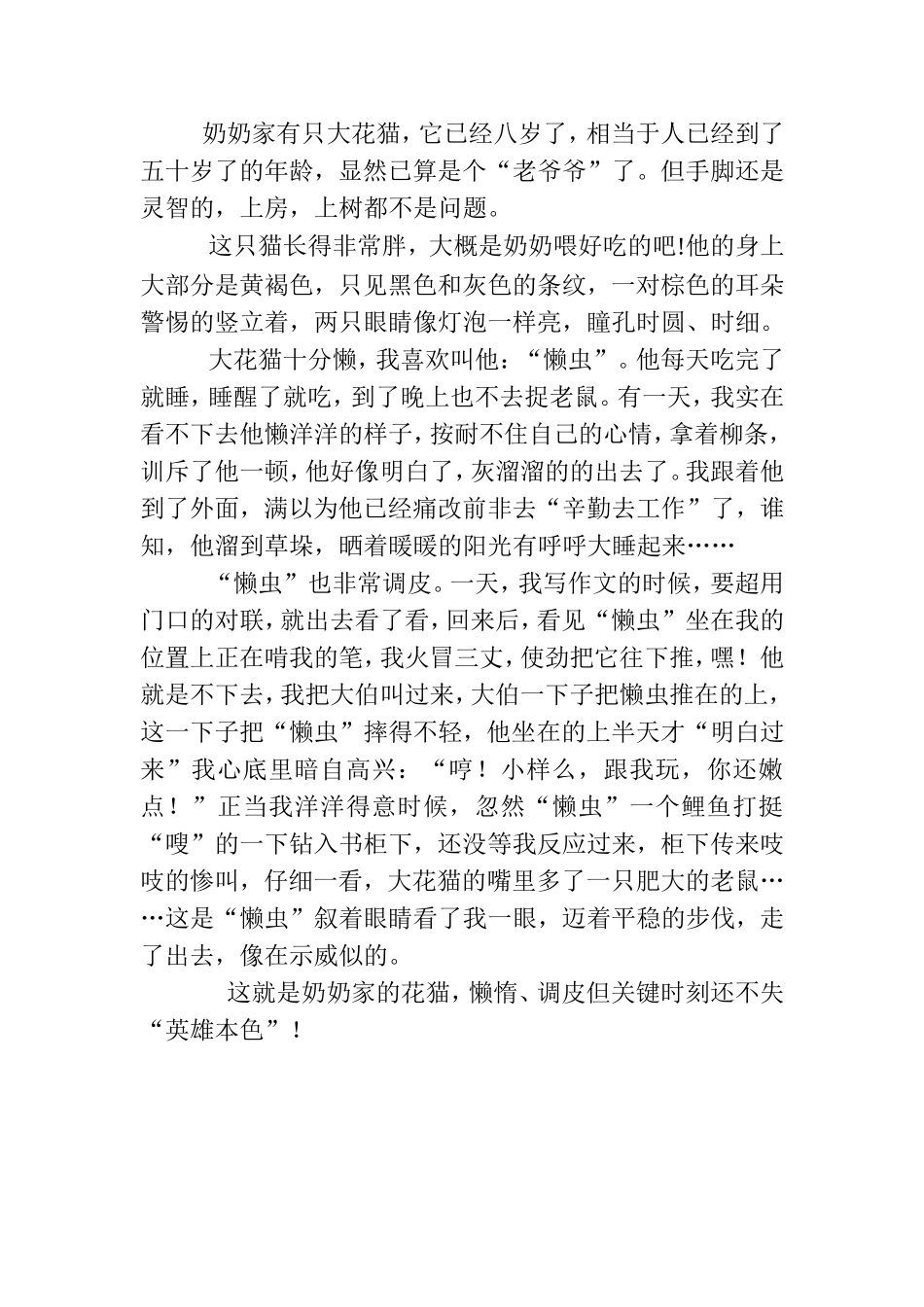 奶奶家的大花猫_第1页