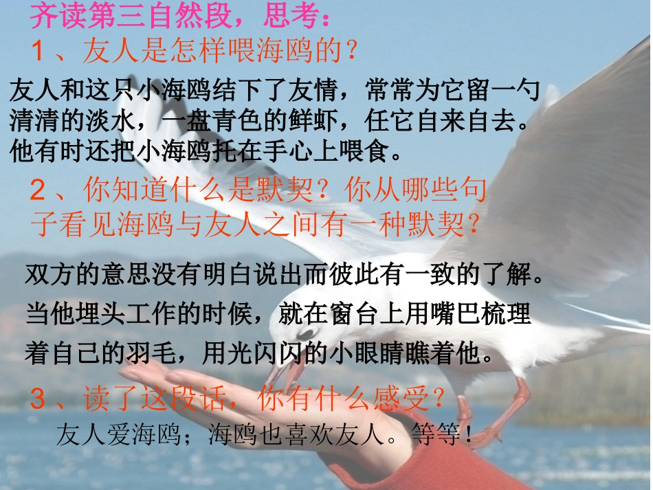 《飞吧、海鸥》卿山彦_第3页