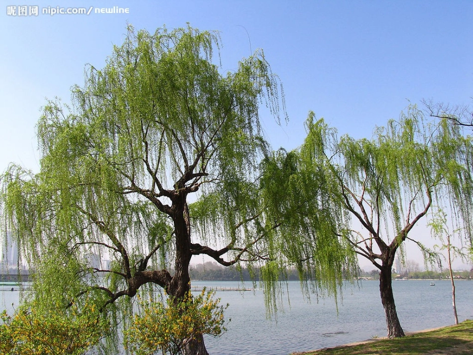 语文S版一年级下册二单元看图写话课件_第2页