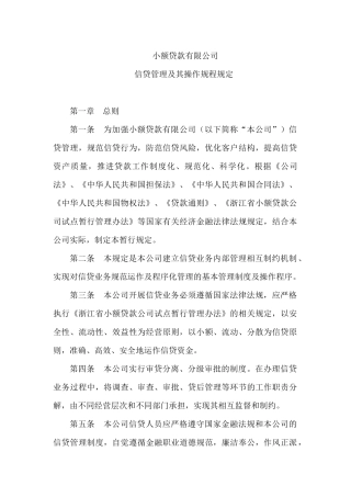 小额贷款公司公司贷款操作规程
