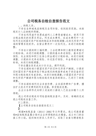 公司税务自检自查报告范文