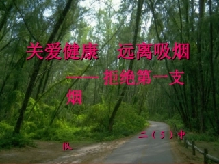 拒绝吸第一支烟队会PPT