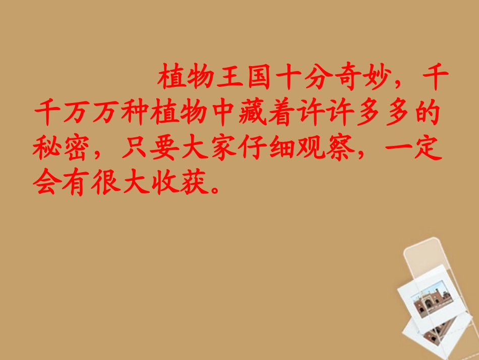 二年级语文下册植物妈妈有办法1课件北京版_第1页