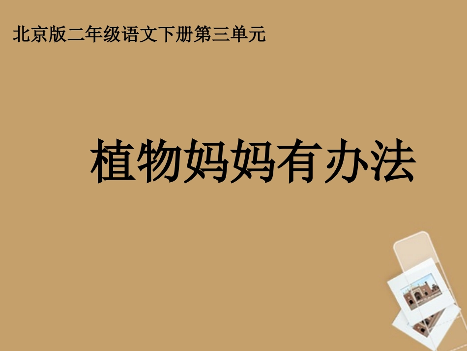 二年级语文下册植物妈妈有办法1课件北京版_第2页