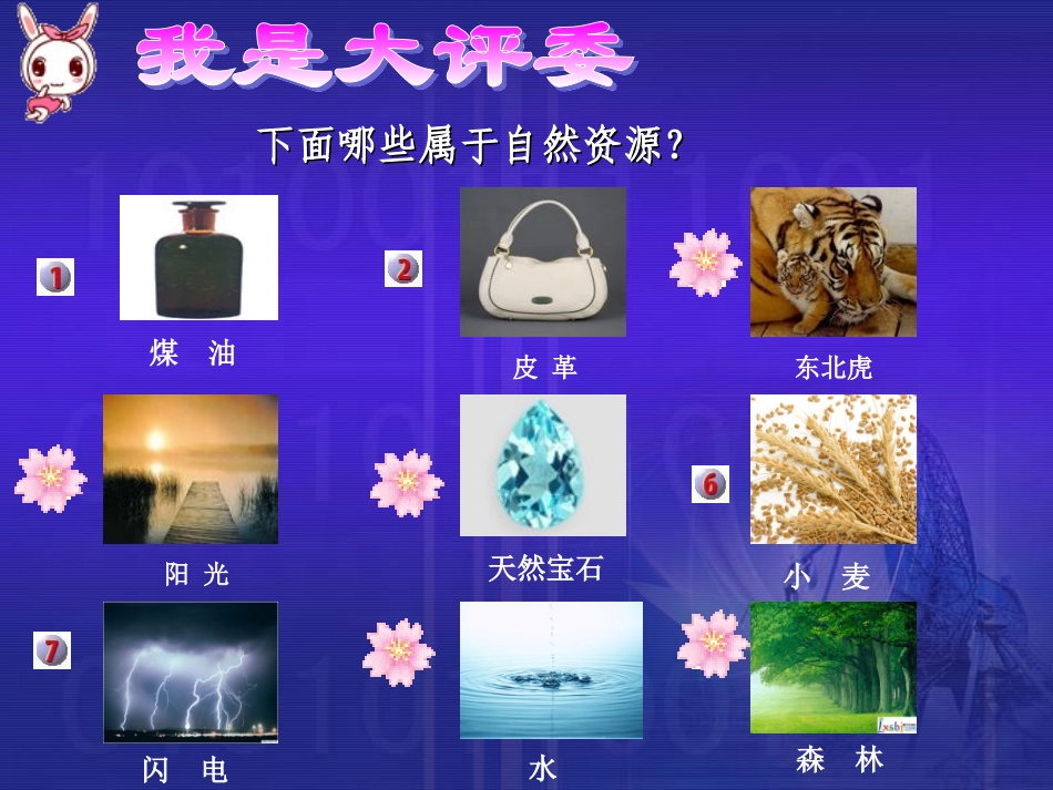 《自然资源概况》活动课课件_第3页