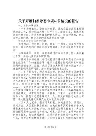 关于开展扫黑除恶专项斗争情况的报告
