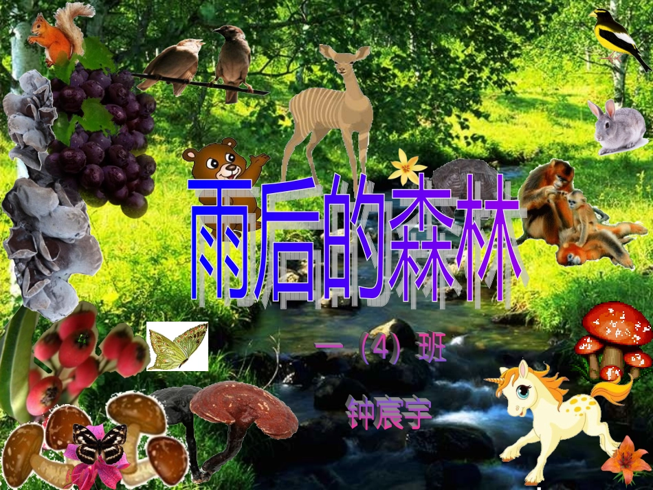 语文S一年级上册雨后的森林_第1页