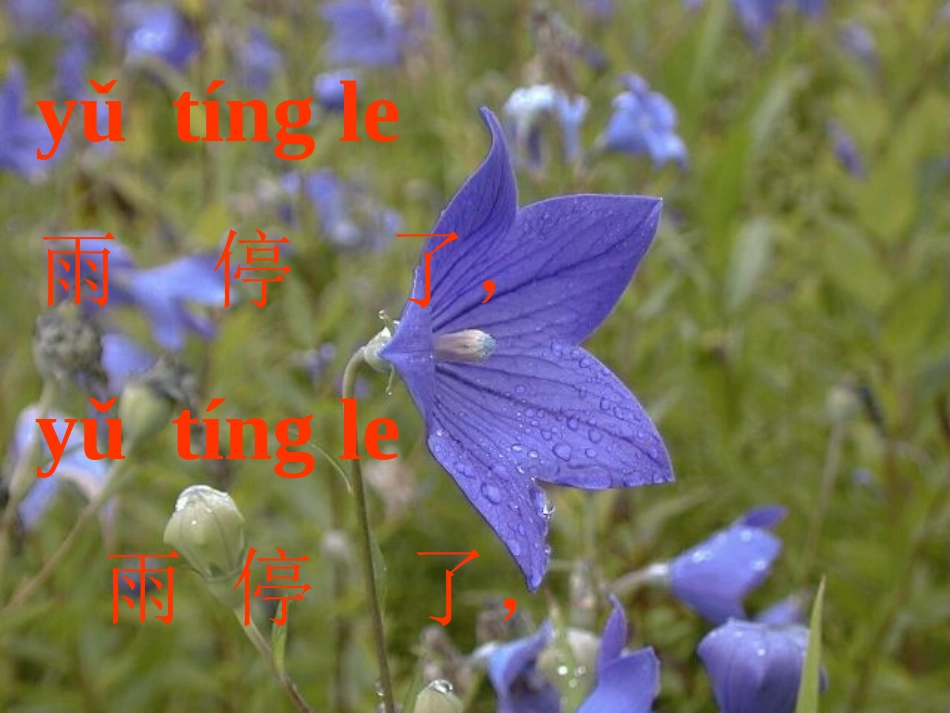 语文S一年级上册雨后的森林_第2页