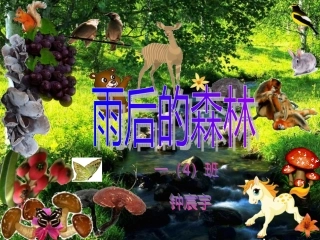 语文S一年级上册雨后的森林