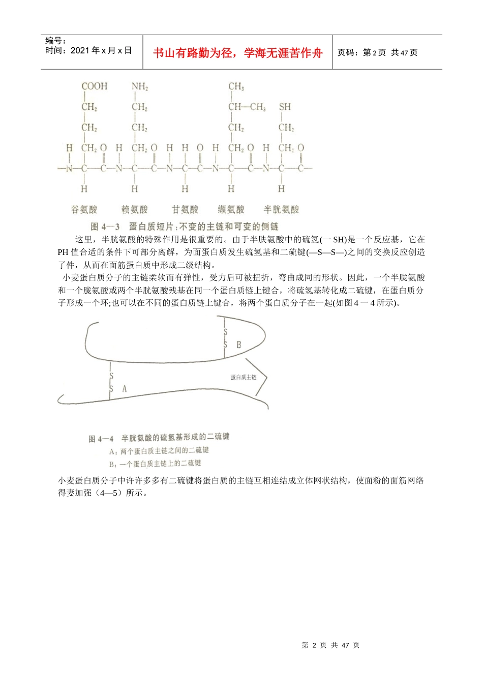 常用小麦粉品质改良剂及其应用_第2页