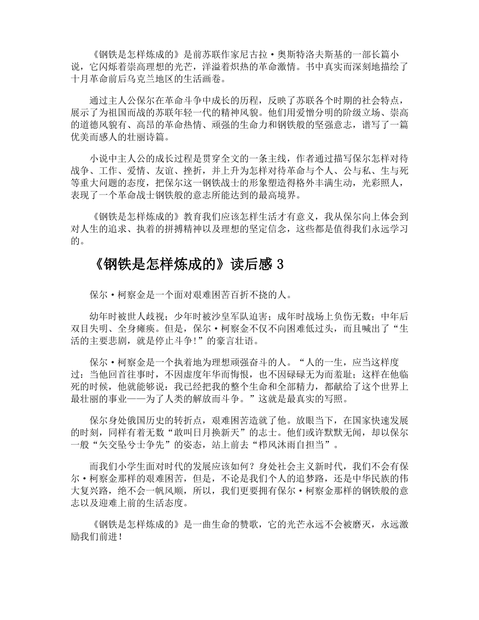 钢铁是怎样炼成的读后感_第2页