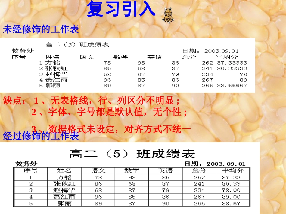 修饰与打印excel工作表_第2页