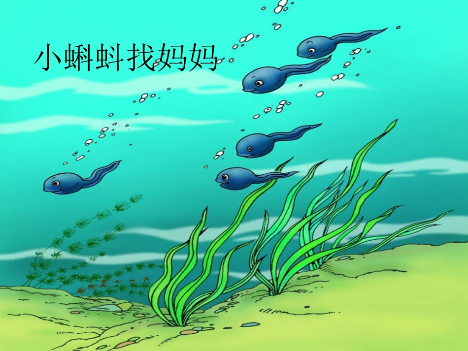 小蝌蚪找妈妈_第1页