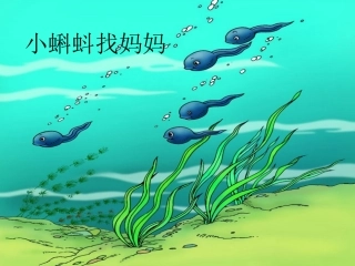 小蝌蚪找妈妈
