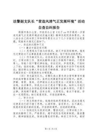 法警副支队长“营造风清气正发展环境”活动自查自纠报告