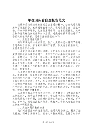 单位回头看自查报告范文