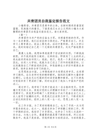 共青团员自我鉴定报告范文