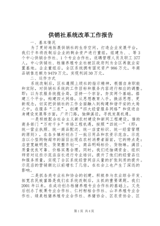 供销社系统改革工作报告