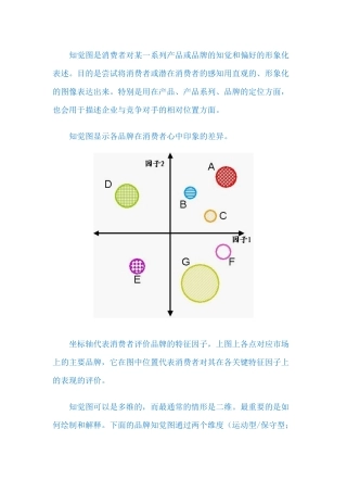 消费者研究方法LV24 知觉图
