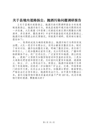 关于县境内道路扬尘、抛洒污染问题调研报告