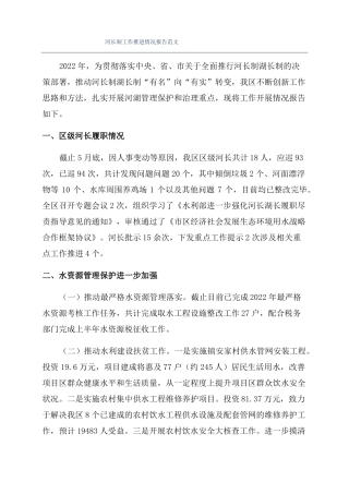 河长制工作推进情况报告范文