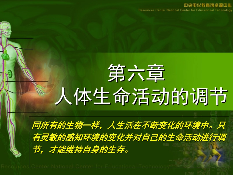 课件：眼和视觉_第2页