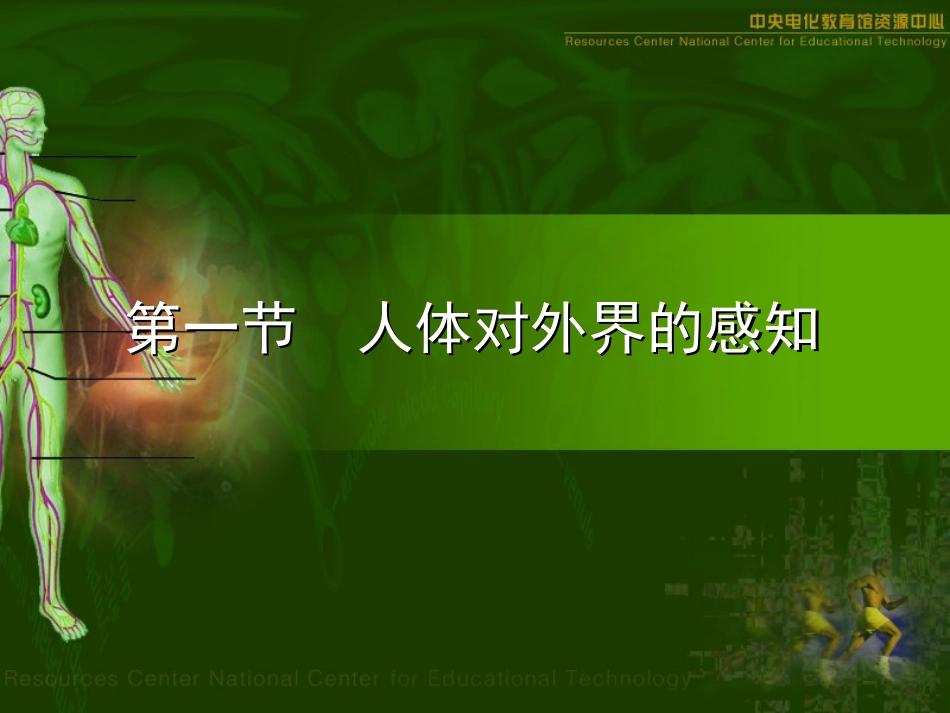 课件：眼和视觉_第3页