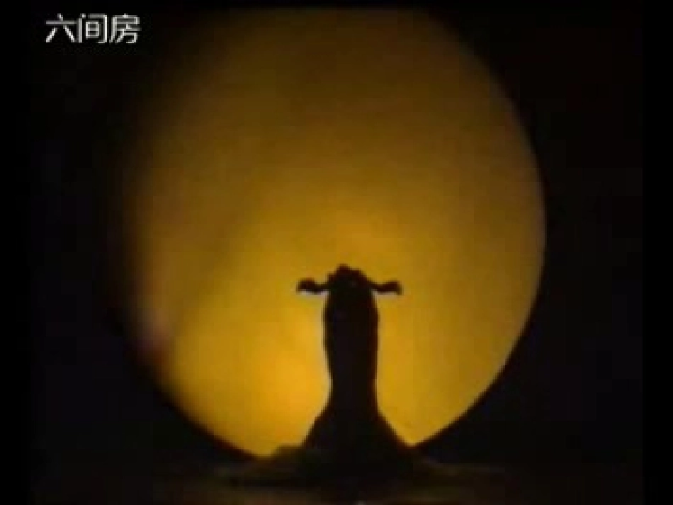 金孔雀轻轻跳(丹)_第1页