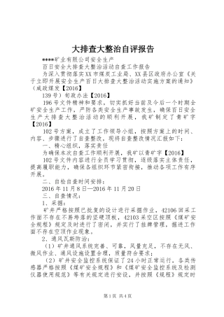 大排查大整治自评报告