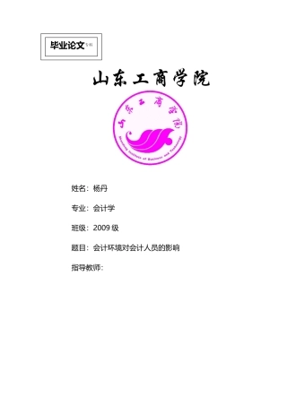 杨丹 会计环境对会计人员的影响
