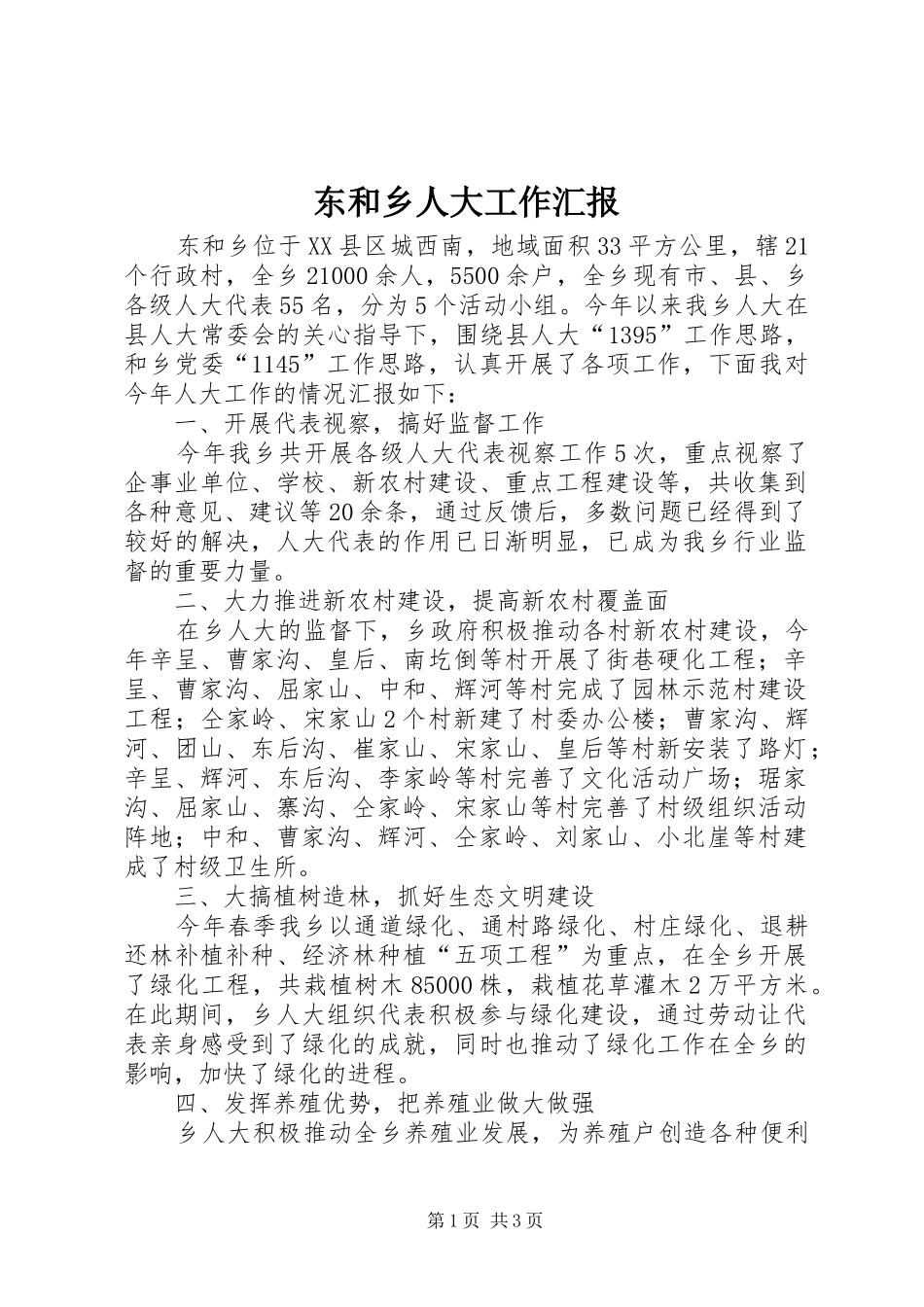 东和乡人大工作汇报_第1页