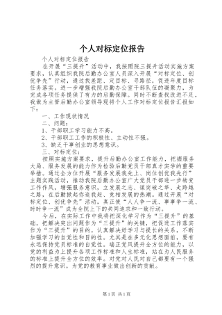 个人对标定位报告