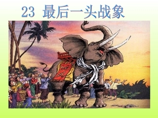 最后一头战象 (2)