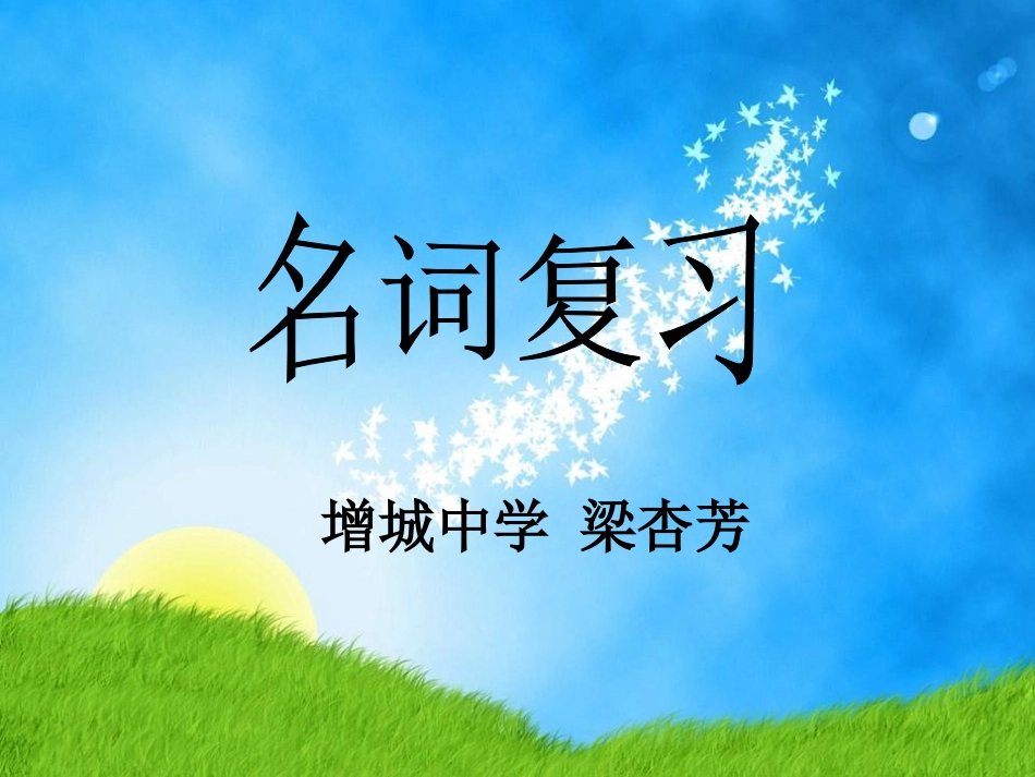 名词复习 (2)_第1页