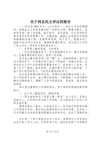 关于同志民主评议的报告