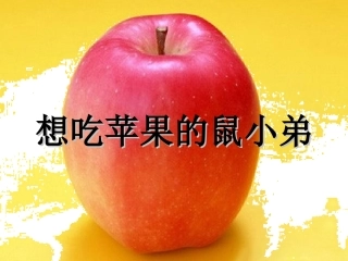 想吃苹果的鼠小弟绘本