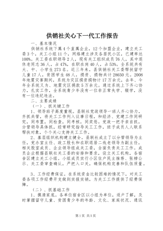 供销社关心下一代工作报告