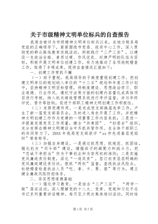 关于市级精神文明单位标兵的自查报告