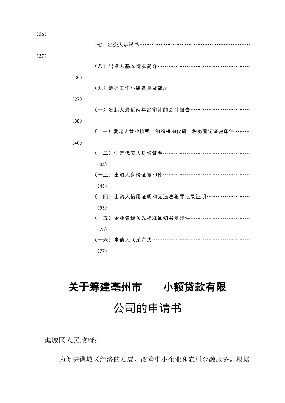 小额贷款公司筹建文本_第2页