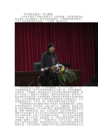 听李晓凡报告