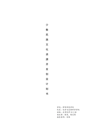少数民族资源开发创业计划书