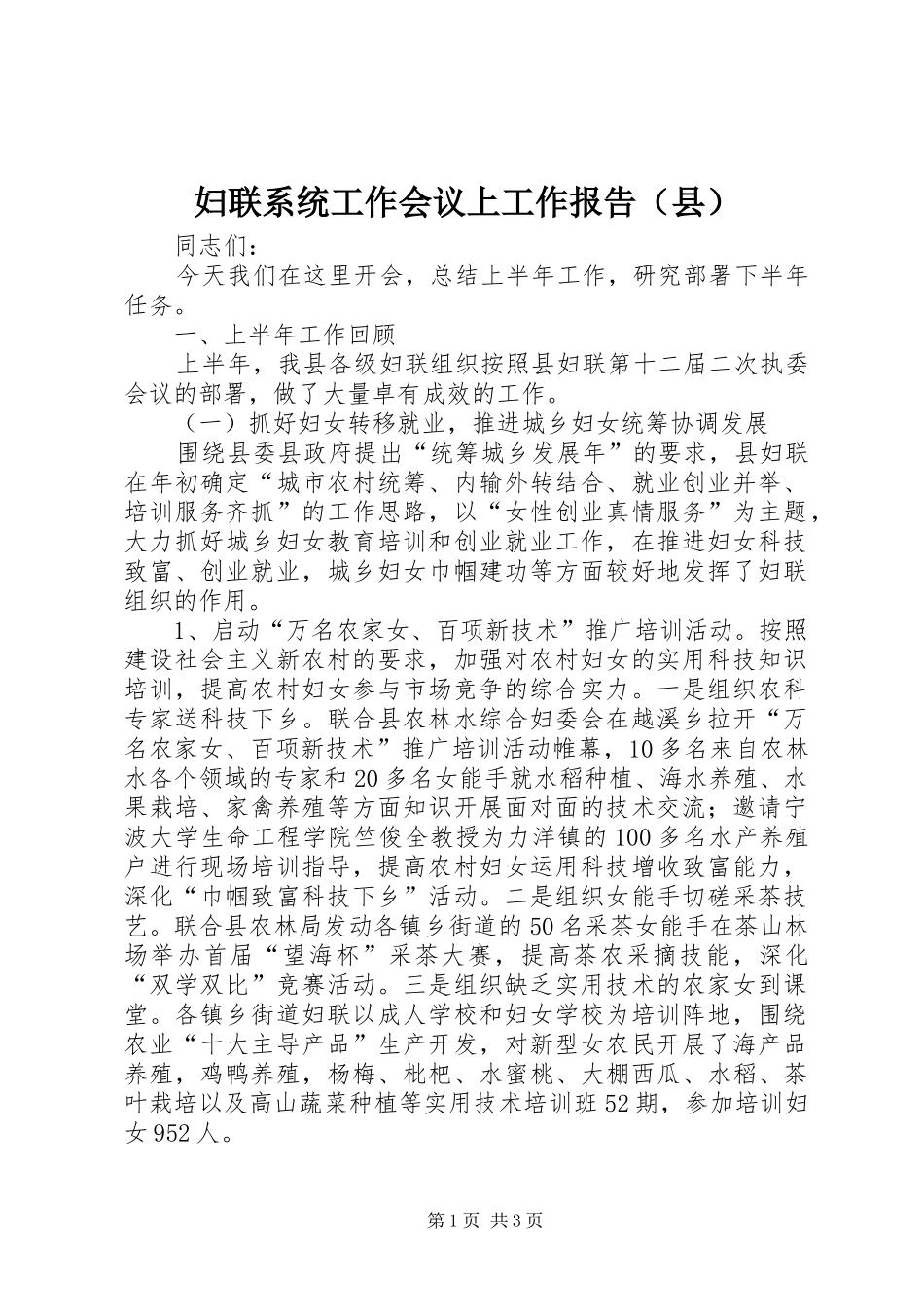 妇联系统工作会议上工作报告（县）_第1页