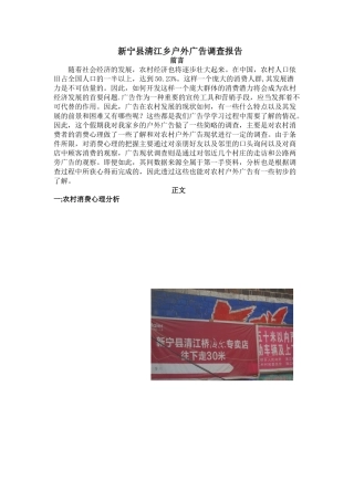 新宁县清江乡户外广告调查报告 - 副本