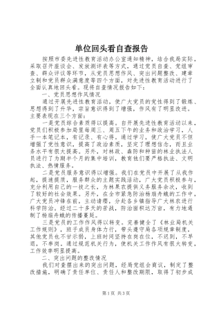 单位回头看自查报告