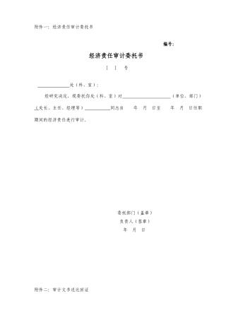 学校任期经济责任审计工作底稿