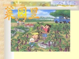 《菜园里》课件