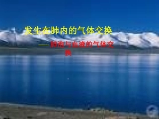 肺泡与血液的气体交换